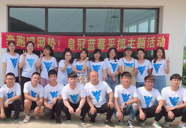【奔跑吧網(wǎng)勢！】藍莓采摘主題團建活動